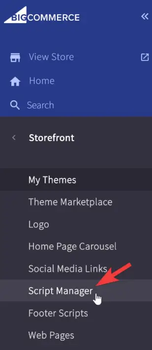 Navigate to Storefront and click Script Manager