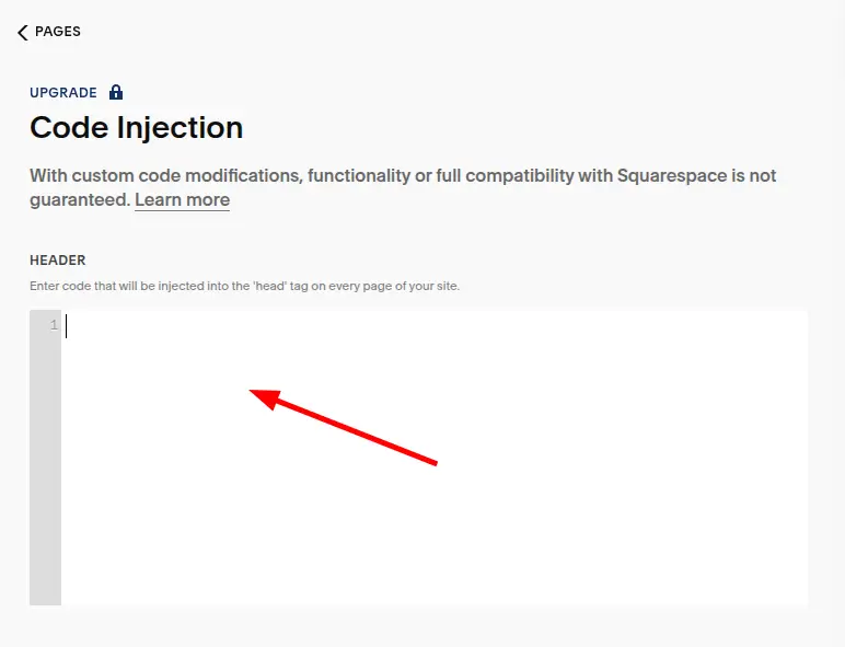 Squarespace Code Paste